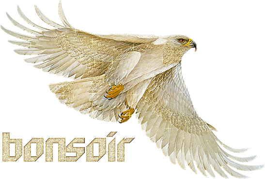 bonsoir